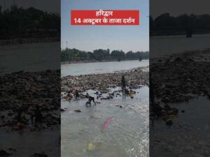 हरिद्वार 14 अक्टूबर के ताजा दर्शन #ganga #haridwar #shortsfeed #short #viral - YouTube video