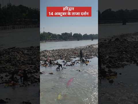 हरिद्वार 14 अक्टूबर के ताजा दर्शन #ganga #haridwar #shortsfeed #short #viral - YouTube video