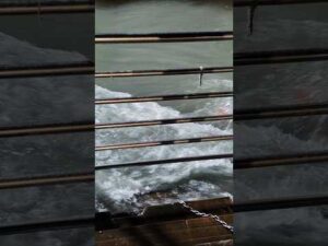 Har har gange Namami Gange 🙏🙏 #haridwar #ganga #viral #shorts - YouTube video
