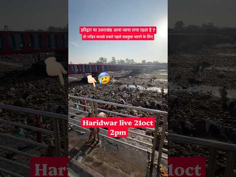 Haridwar live 21oct 2pm | Haridwar news #haridwarlive #ganga #ghat #viralvideo #travel #gangariver - YouTube video