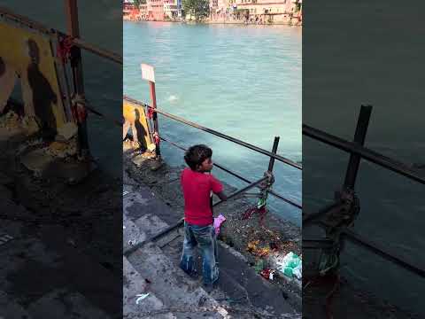 🔥🥥 जाल से नारियल पकड का खतरनाक नज़ारा 😱🌴 | Haridwar Viral Video � - YouTube video