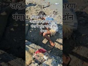 हरिद्वार मे गंगा जी का जल काम होनेके कारण गंगा मे सुना चांदी डॉन ने का - YouTube video