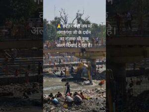 हरिद्वार गंगा जी के दर्शन का नज़ारा भी कुछ अलग दिखाई दे रहा है।Haridwar Uttrakhand#shortv… - YouTube video