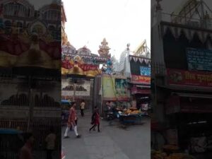 bharat mata mandir haridwar - YouTube video