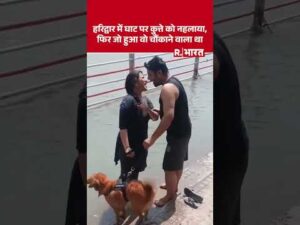 हर की पौड़ी पर कुत्ते को नहला रही थी महिला, फिर जो हुआ वो चौंकाने वाला था - YouTube video