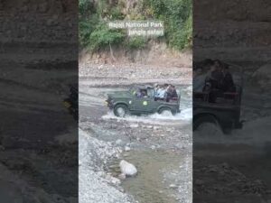 # Rajaji National Park #jungle safari# Haridwar# - YouTube video