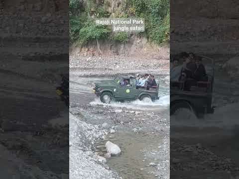 # Rajaji National Park #jungle safari# Haridwar# - YouTube video