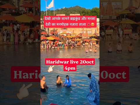 Haridwar live 20oct | Brahmkund Ganga #haridwarlive #ganga #ghat #viralshorts #travel #gangariver - YouTube video