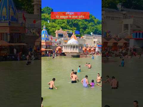 हरिद्वार 19 अक्टूबर के ताजा दर्शन #ganga #haridwar #shortsfeed #viral #short - YouTube video