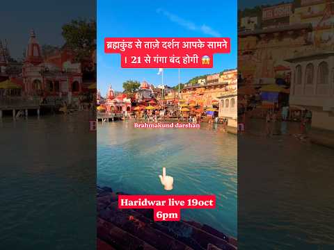 Haridwar live 19 Oct | Brahmkund Live #haridwarlive #ganga #ghat #viralvideo #gangaaarti #darshan - YouTube video